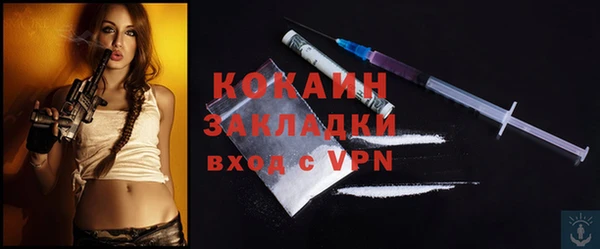 кокс Гусев