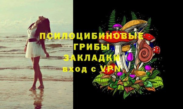 кокс Гусев